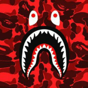 Meet your Posher, Oscar